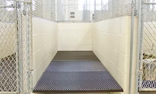 Canine Single Room